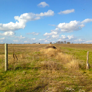 Picture of ranch in Texas