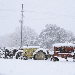 Picture of three tractors covered in snow