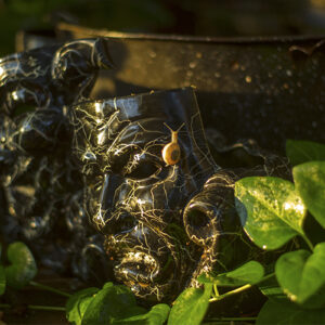 Picture of a snail crawling up a flower pot