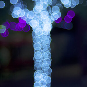 This Bokeh tree lights canvas print makes for a picturesque piece of art. Shown is an image a normal tree decorated in lights, deliberately shot in an out-of-focus style to create beautiful balls of light. This is in Waco, Texas.