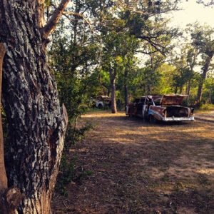 The pasture cars canvas print brings a familiar sight if you've lived in rural Texas. Pictured is a rusted-out Chevrolet "Tri-Five" and an old Volkswagen Beetle. This is in South Texas on ranchland. If these cars could talk...